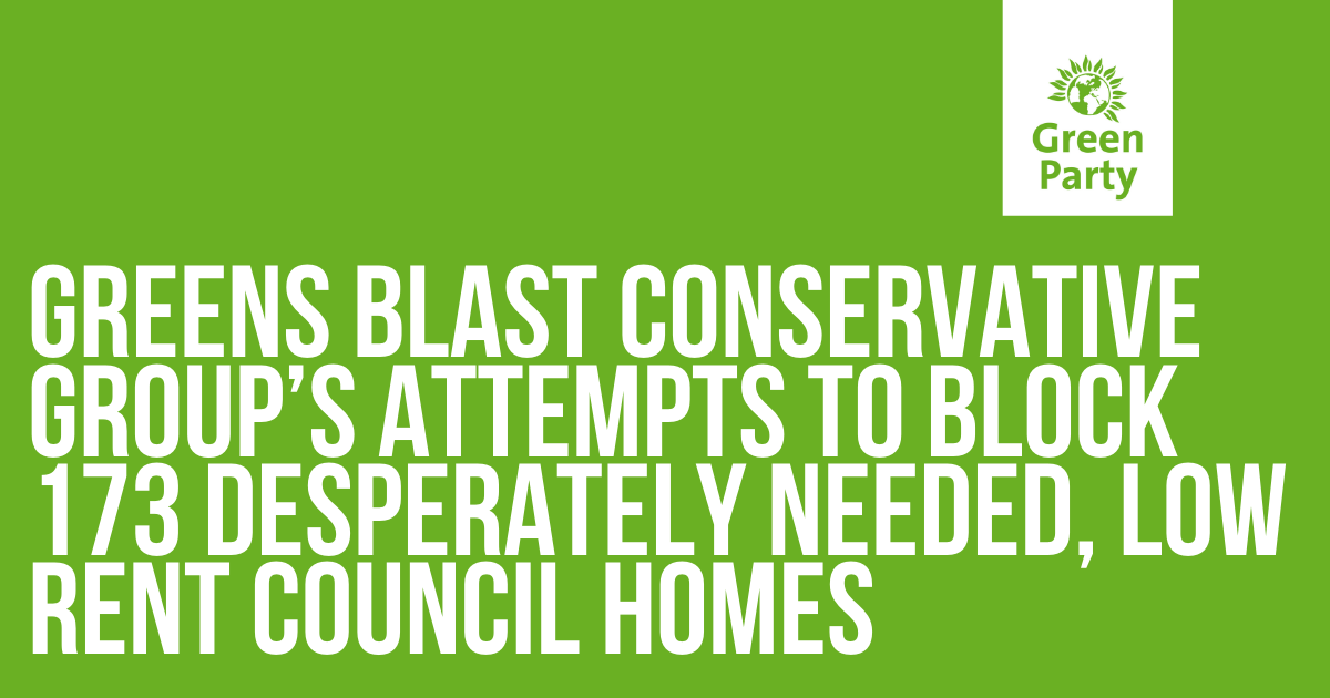 Greens blast Conservative group’s attempts to block 173 desperately