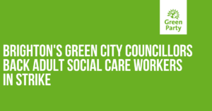 Green councillors support adult social care workers